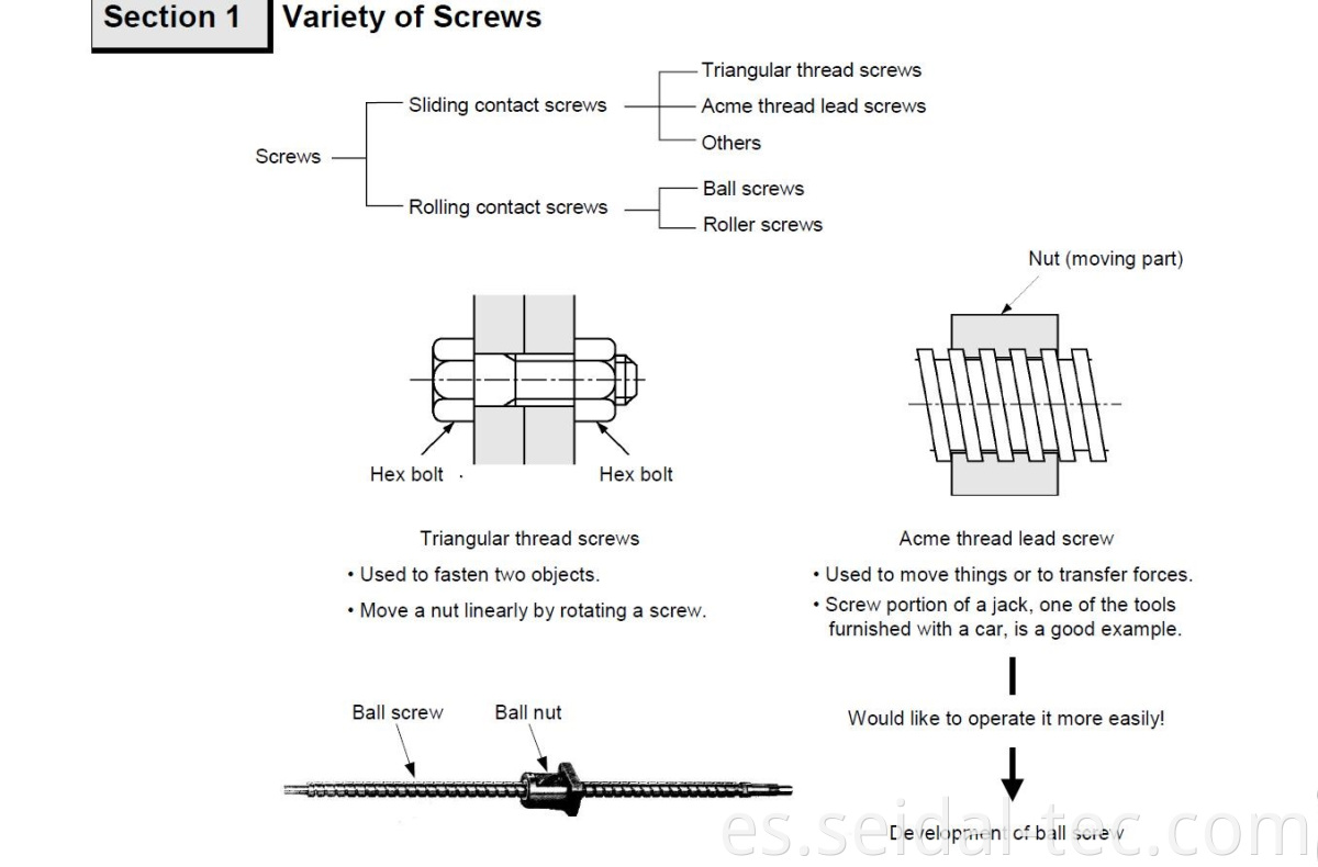 variety of screws